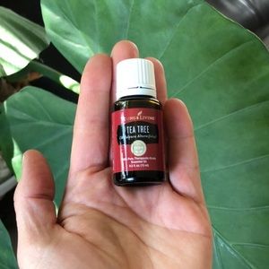 New! Tea Tree Young Living Essential Oil 15ml